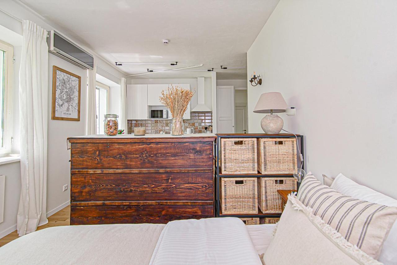 Cozy Studio In The Heart Of Vilnius Old Town Esterno foto