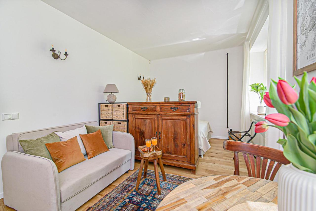 Cozy Studio In The Heart Of Vilnius Old Town Esterno foto